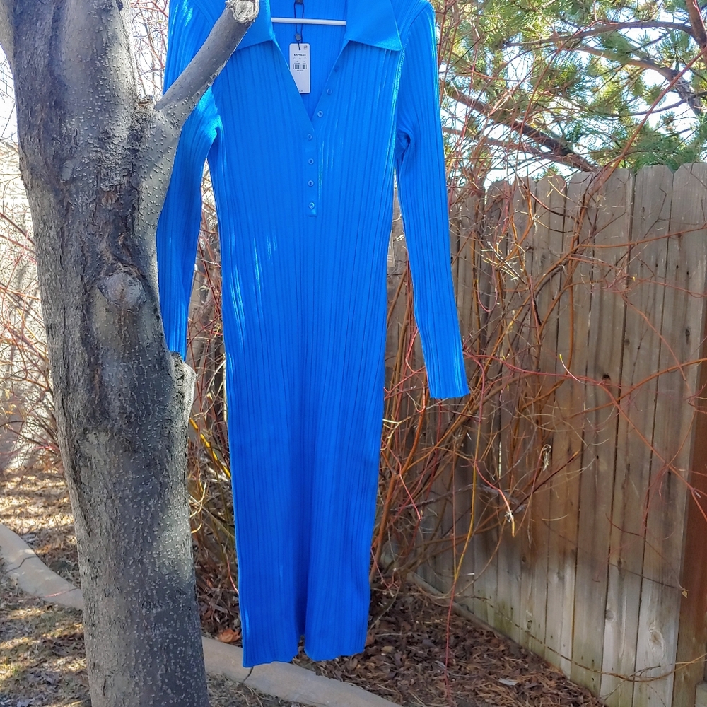 Express Dress Vibrant Blue Ribbed Sweater